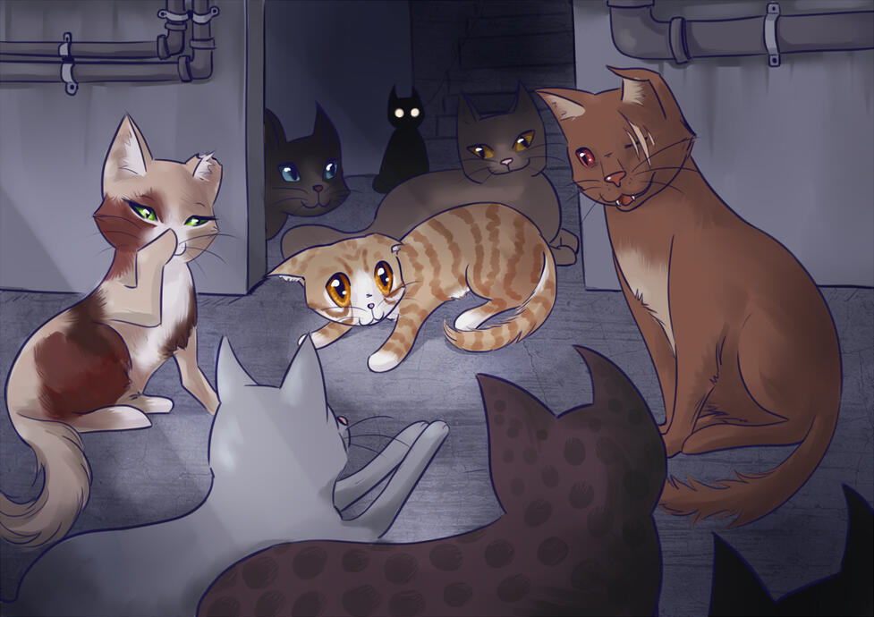 The outside is not quite what he expected.